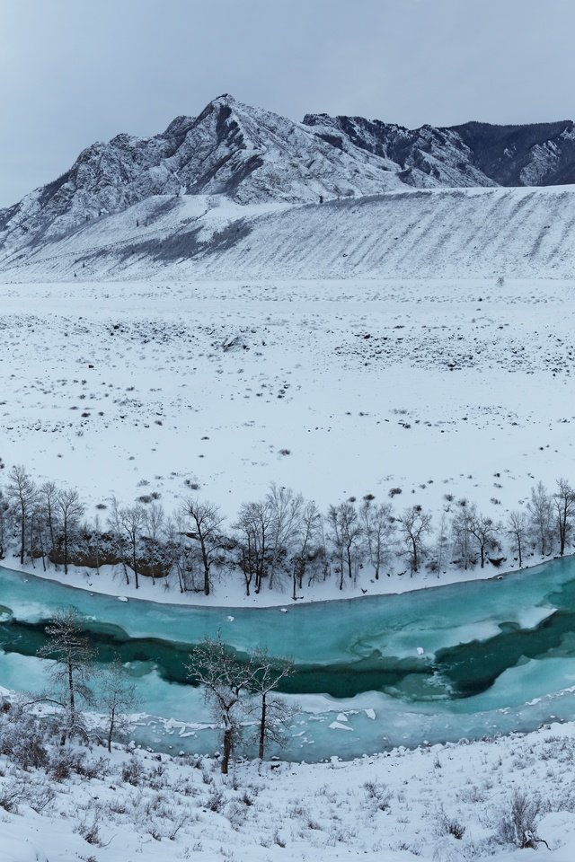 горный алтай зимой фото