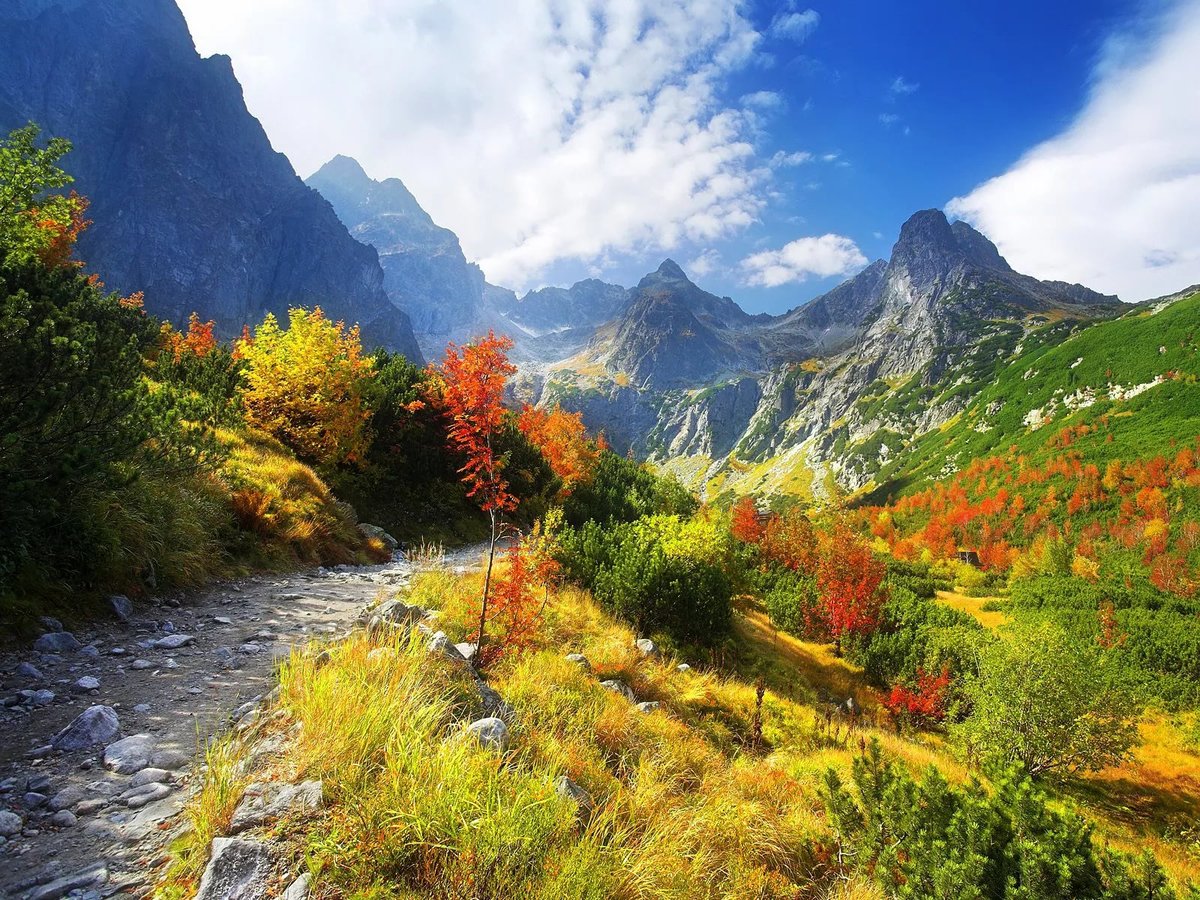 горный пейзаж осень фото