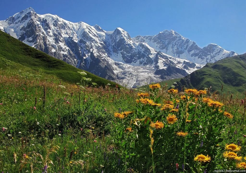 горы кавказ грузия фото