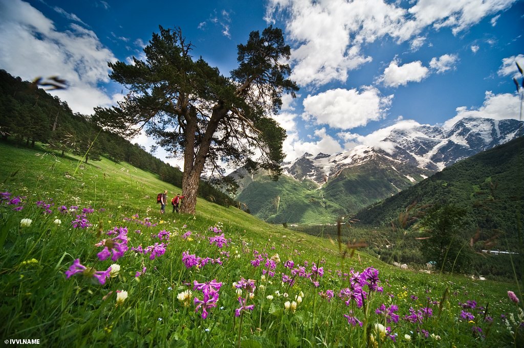 горы кавказа летом фото