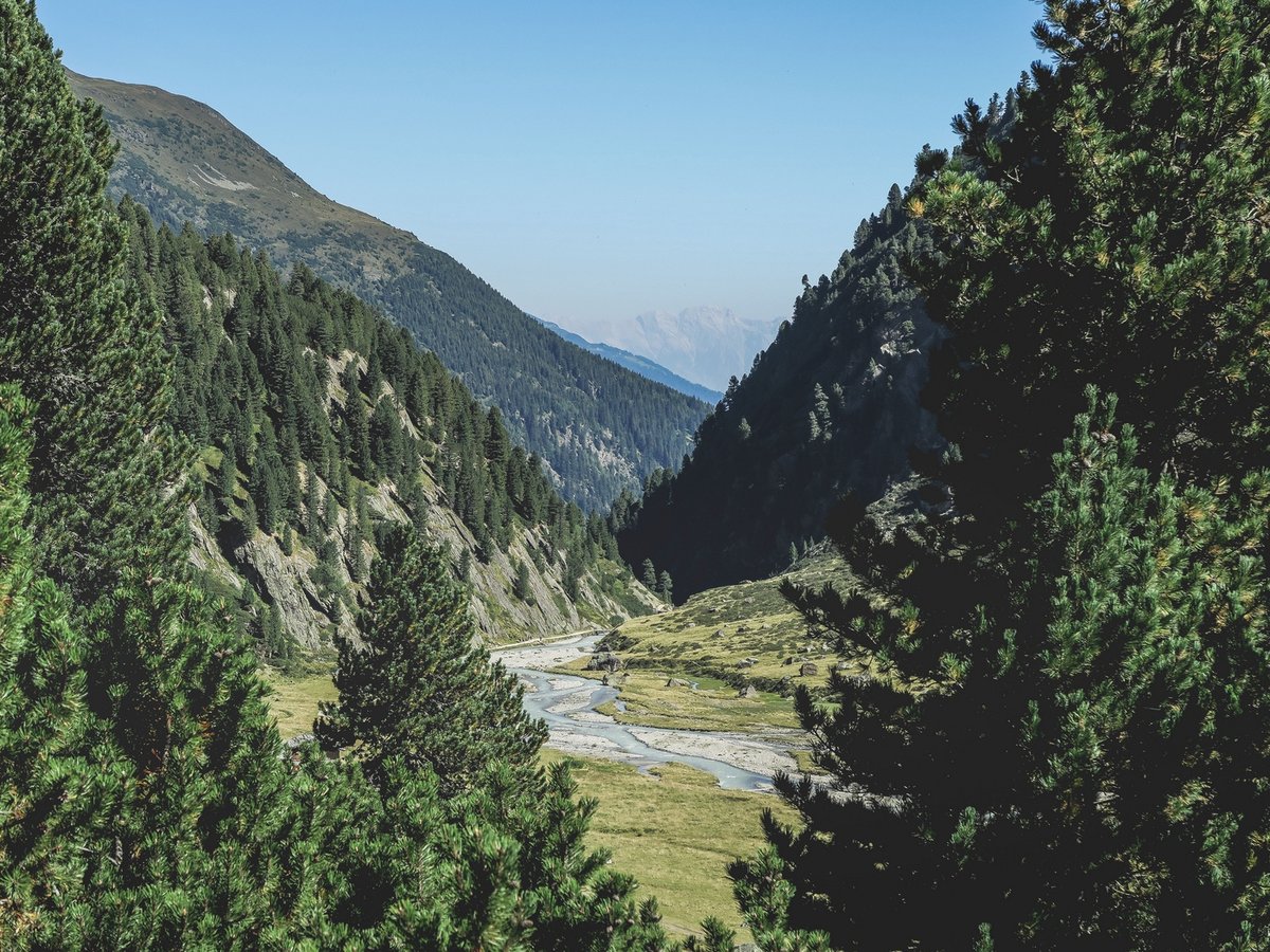 горы лес ущелье фото
