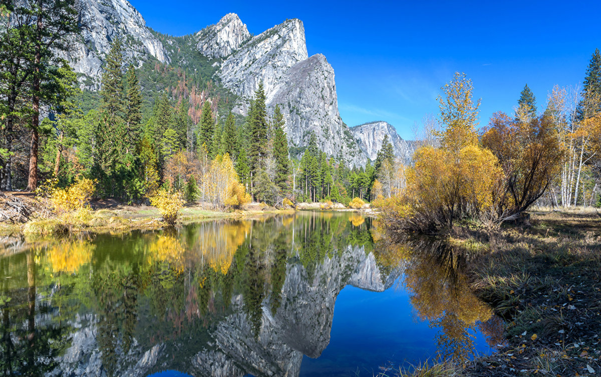 горы лес вода весна фото