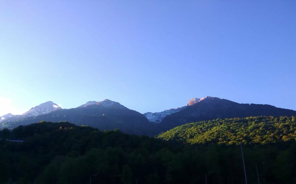 горы сочи роза фото