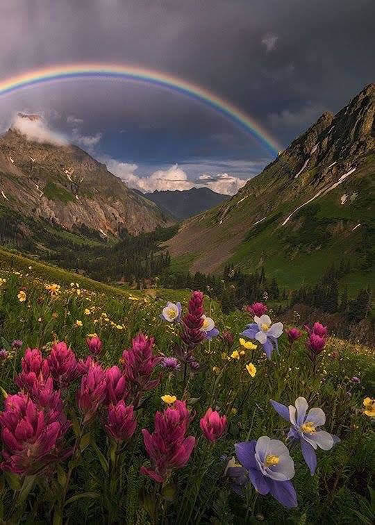 горы, цветы и радуга фото