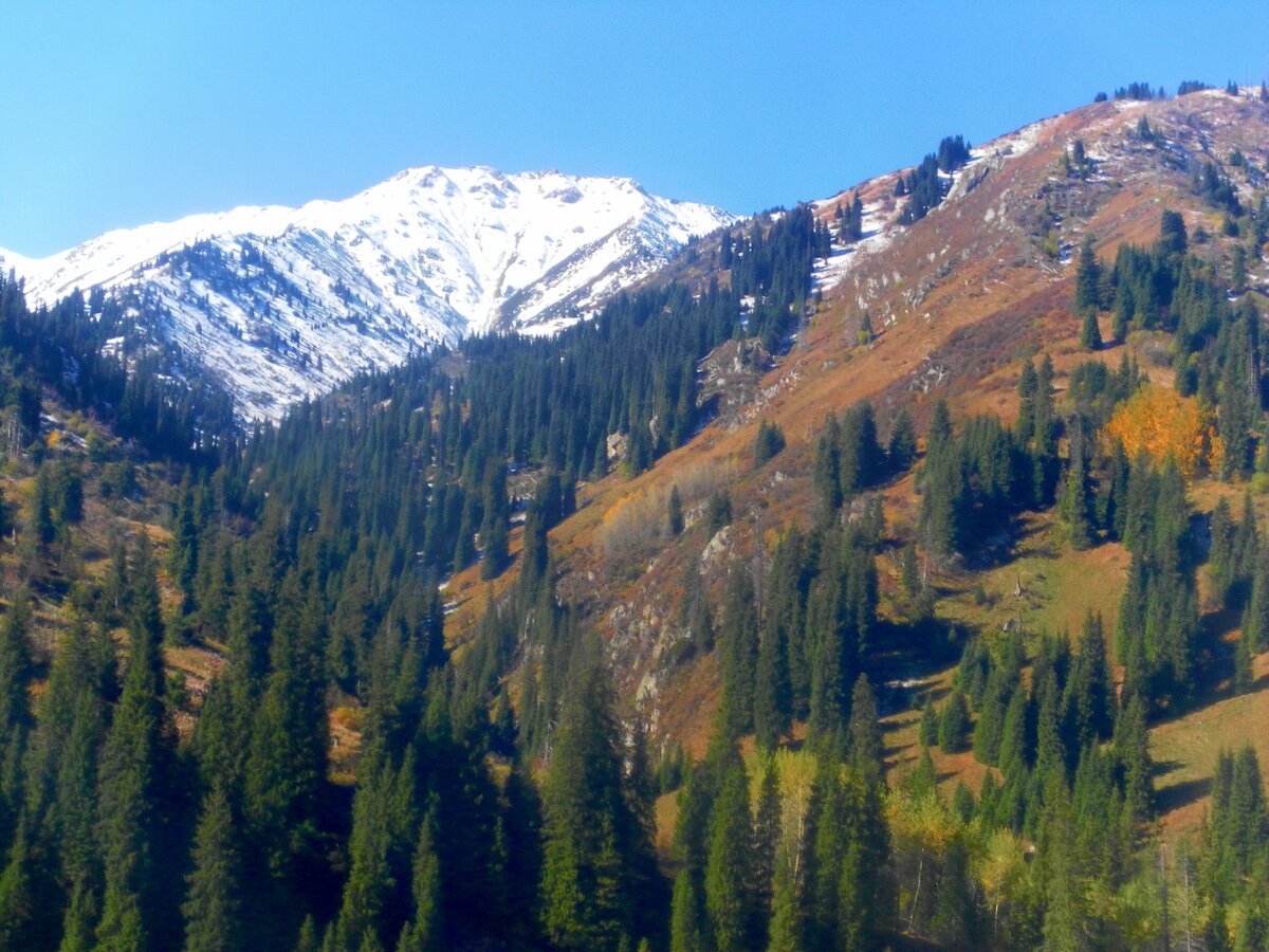 горы заилийского алатау фото