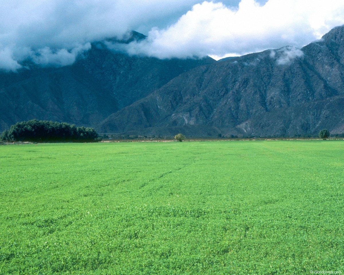 grass mountain фото