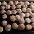 грецкий орех фото