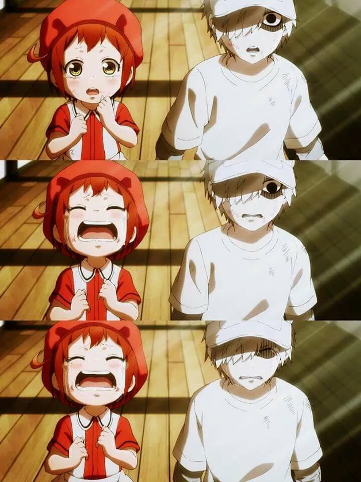 hataraku saibou white blood cell фото