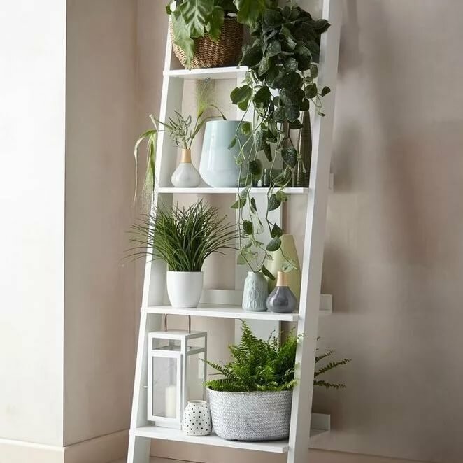 indoor plants shelf bookshelves фото