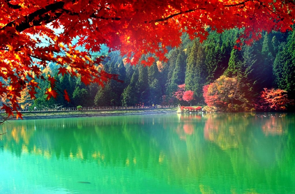 japan autumn lake фото