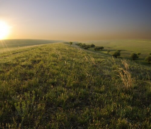 калмыкия степь рассвет фото