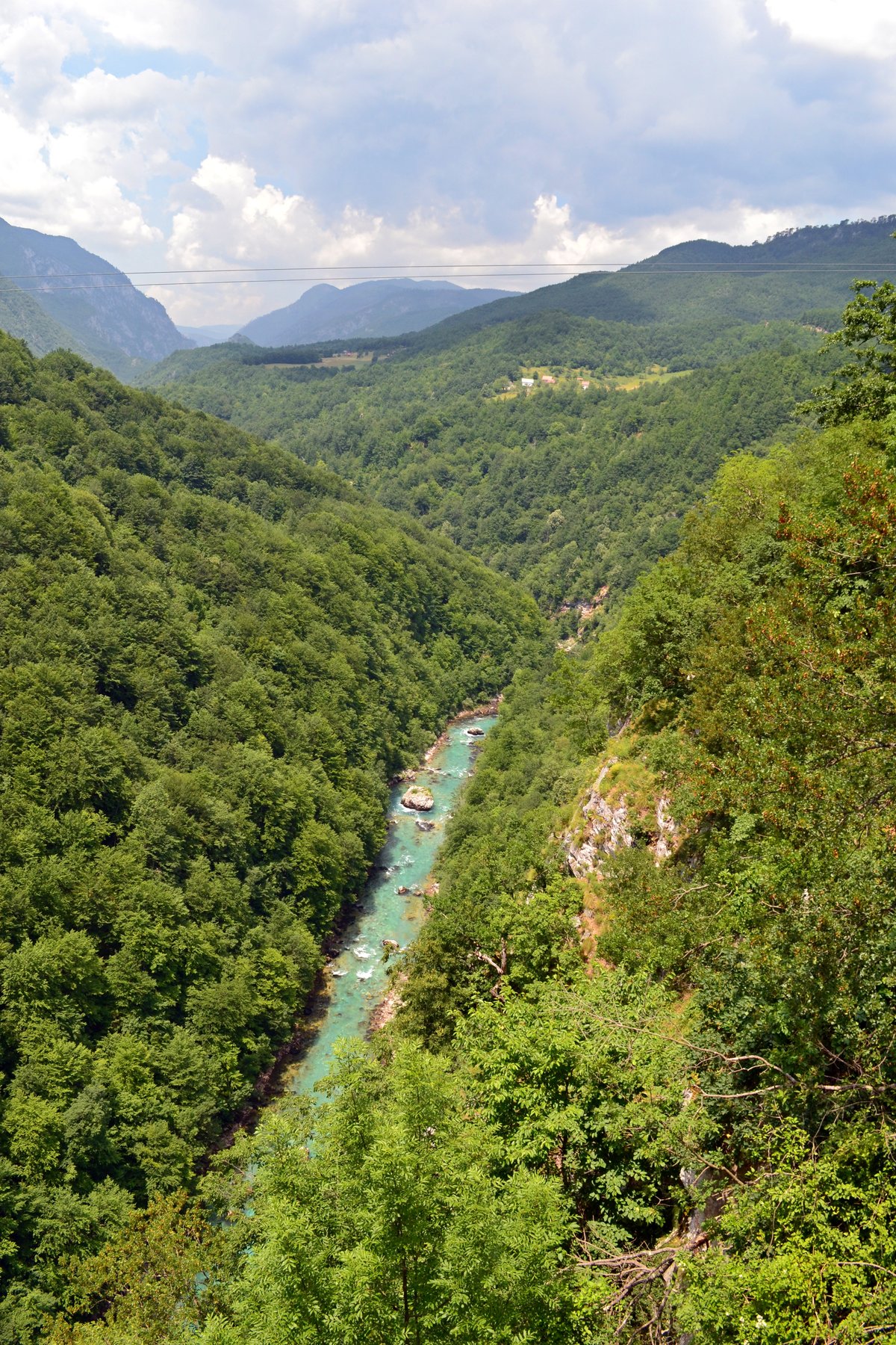 каньон тара черногория фото