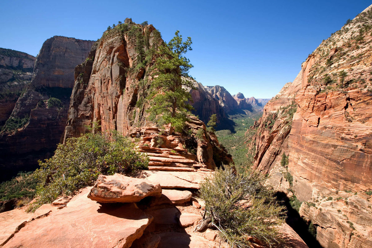 каньон зайон angels landing фото