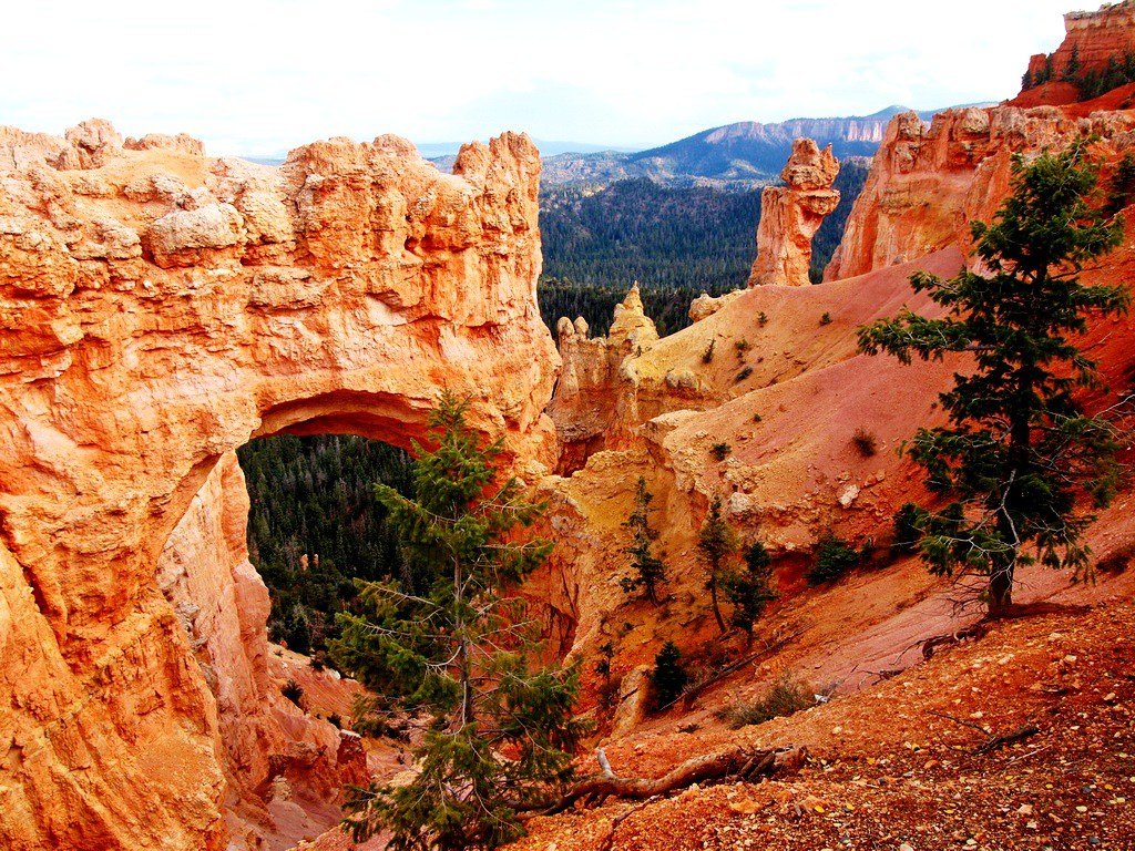 каньоны в америке фото