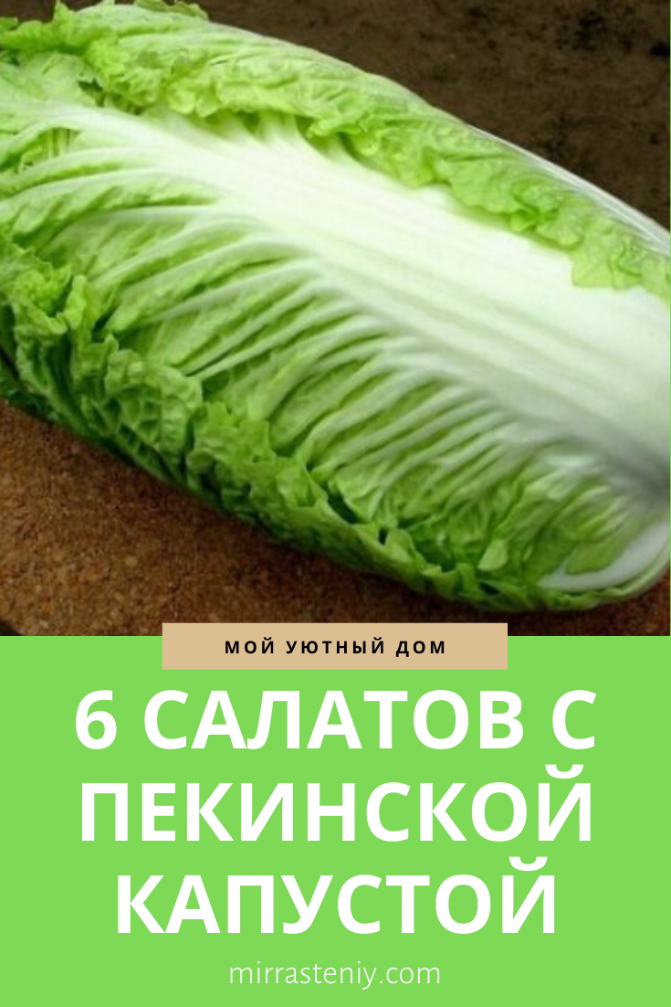 капуста пекинская фото