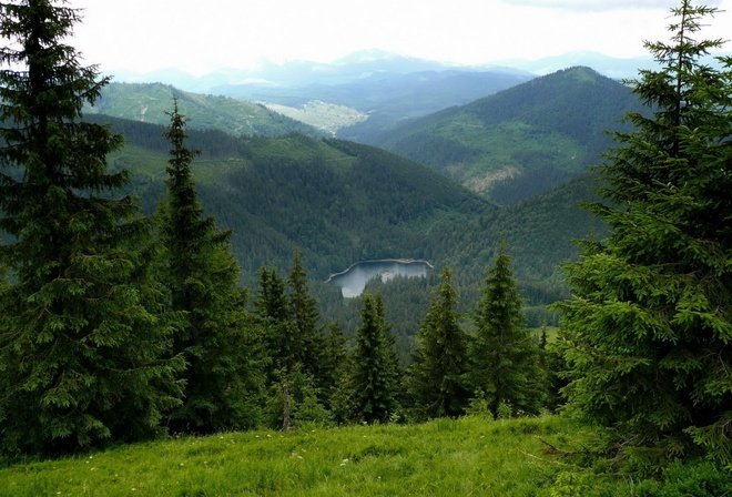 карпаты фото природы фото