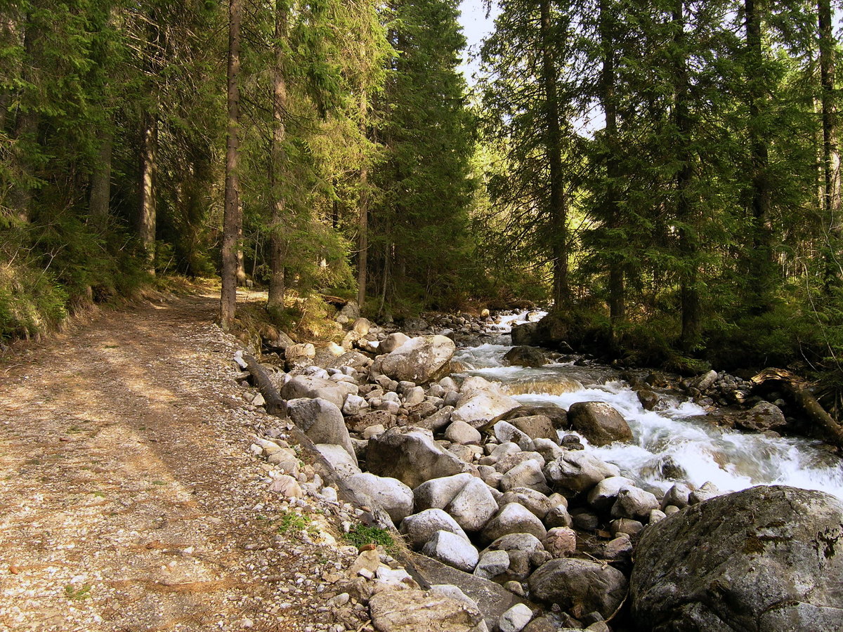 карпаты горные реки фото