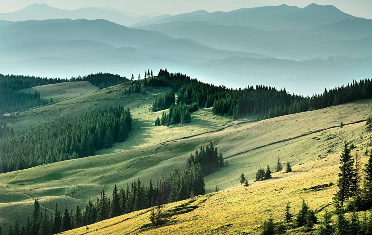 карпаты украина фото