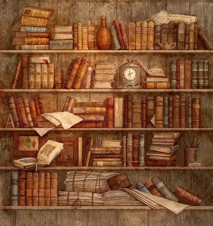 картинки книжных полок фото