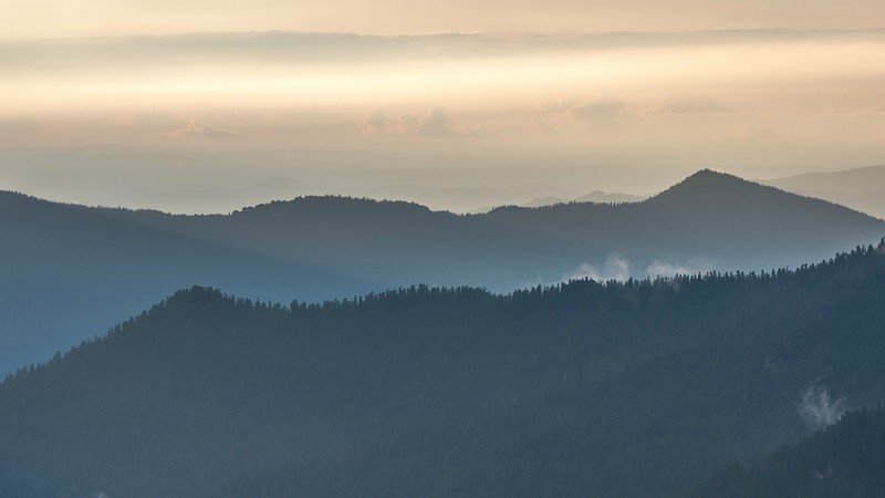 картинки лес горы туман фото
