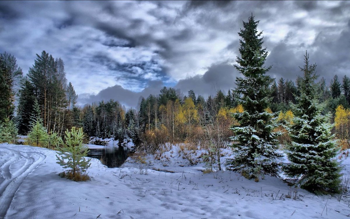 картинки на рабочий стол зима пейзаж фото