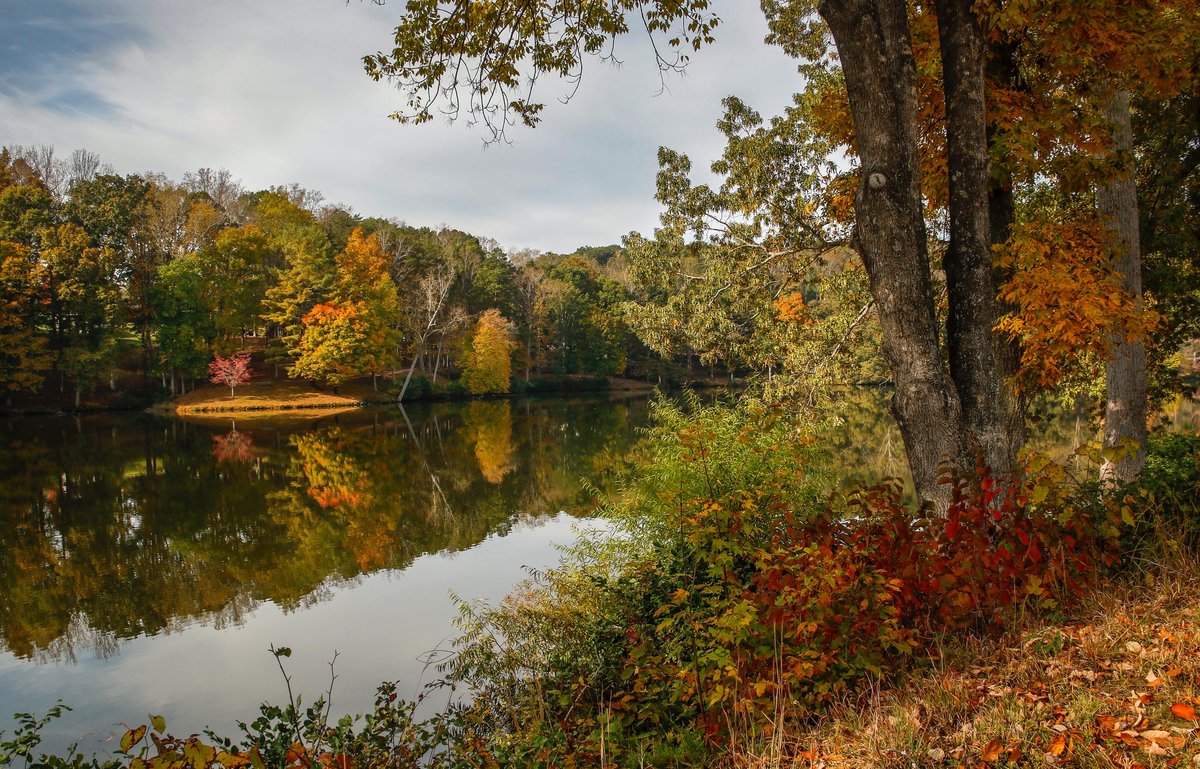 картинки осень озеро и лес фото