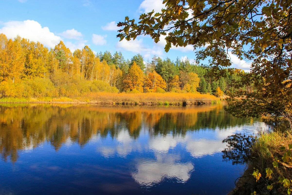 картинки осень озеро и лес фото