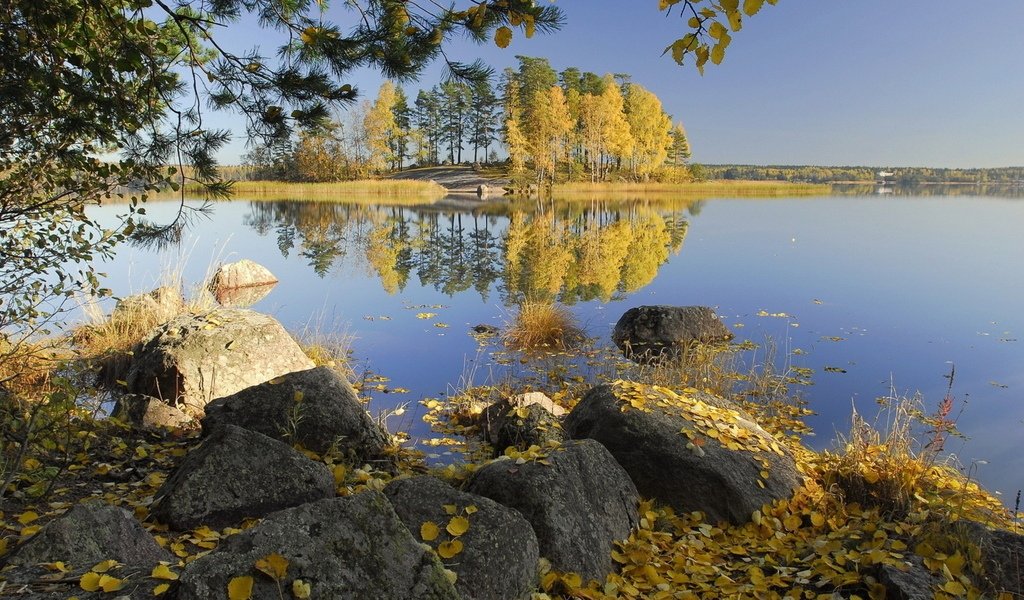 картинки осень озеро и лес фото