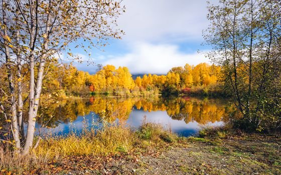 картинки осень озеро и лес фото