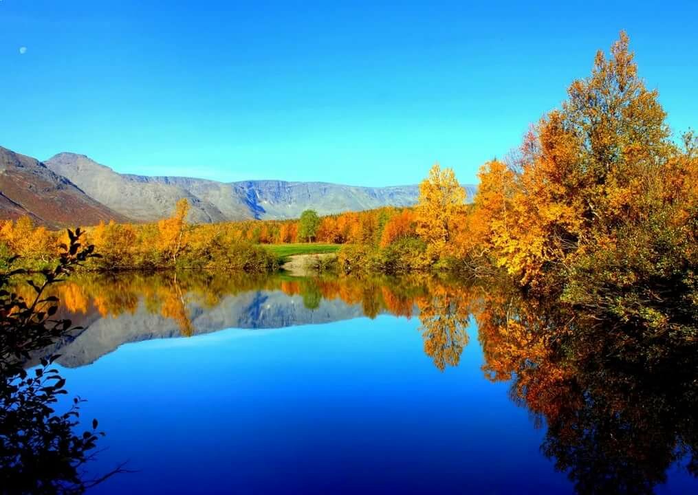 картинки осень озеро и лес фото