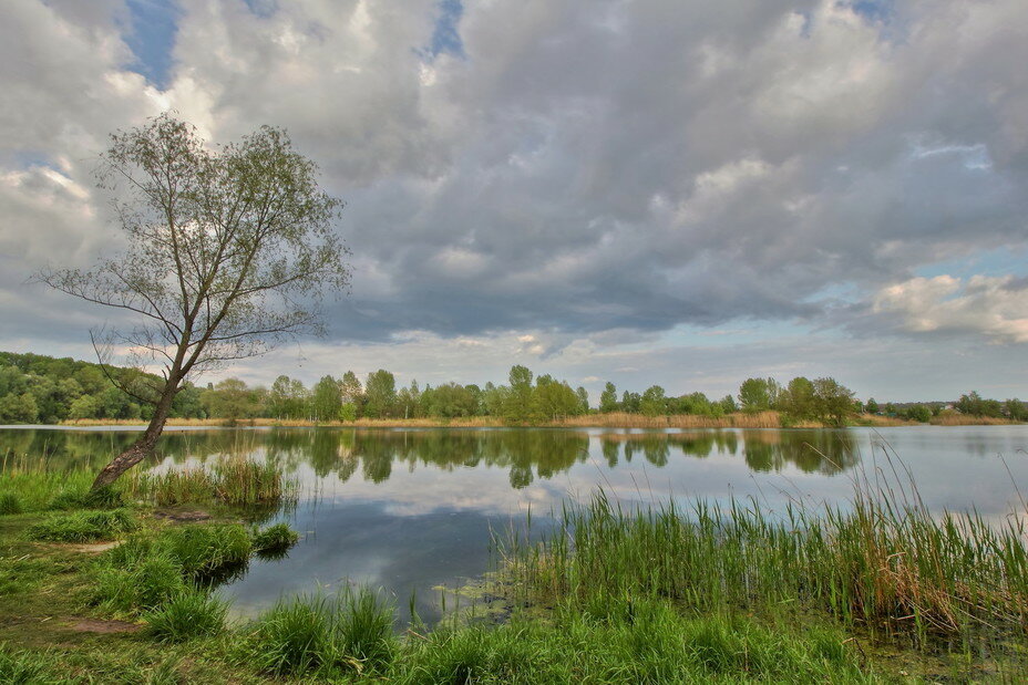 картинки озера светлояра фото