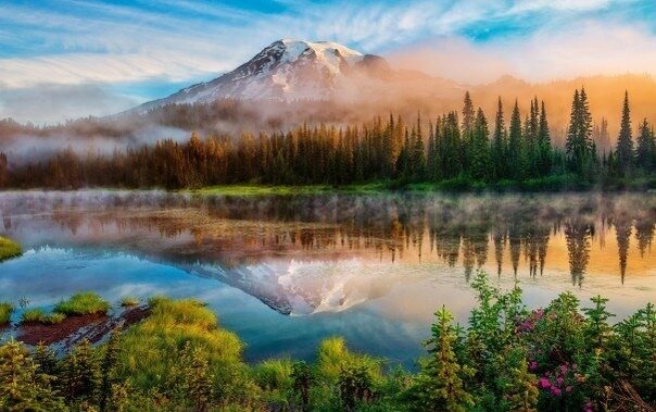картинки с добрым утром природа фото