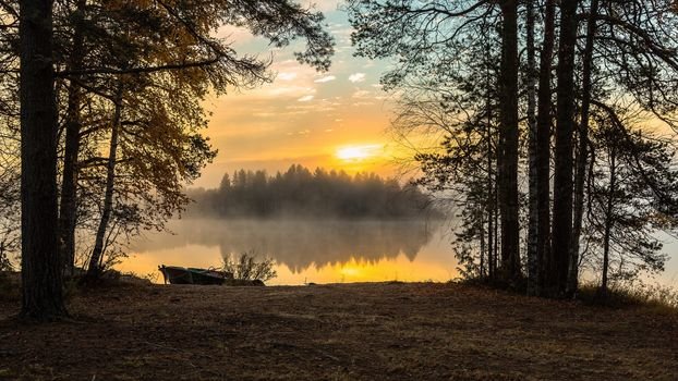 картинки утро лес озеро рассвет фото
