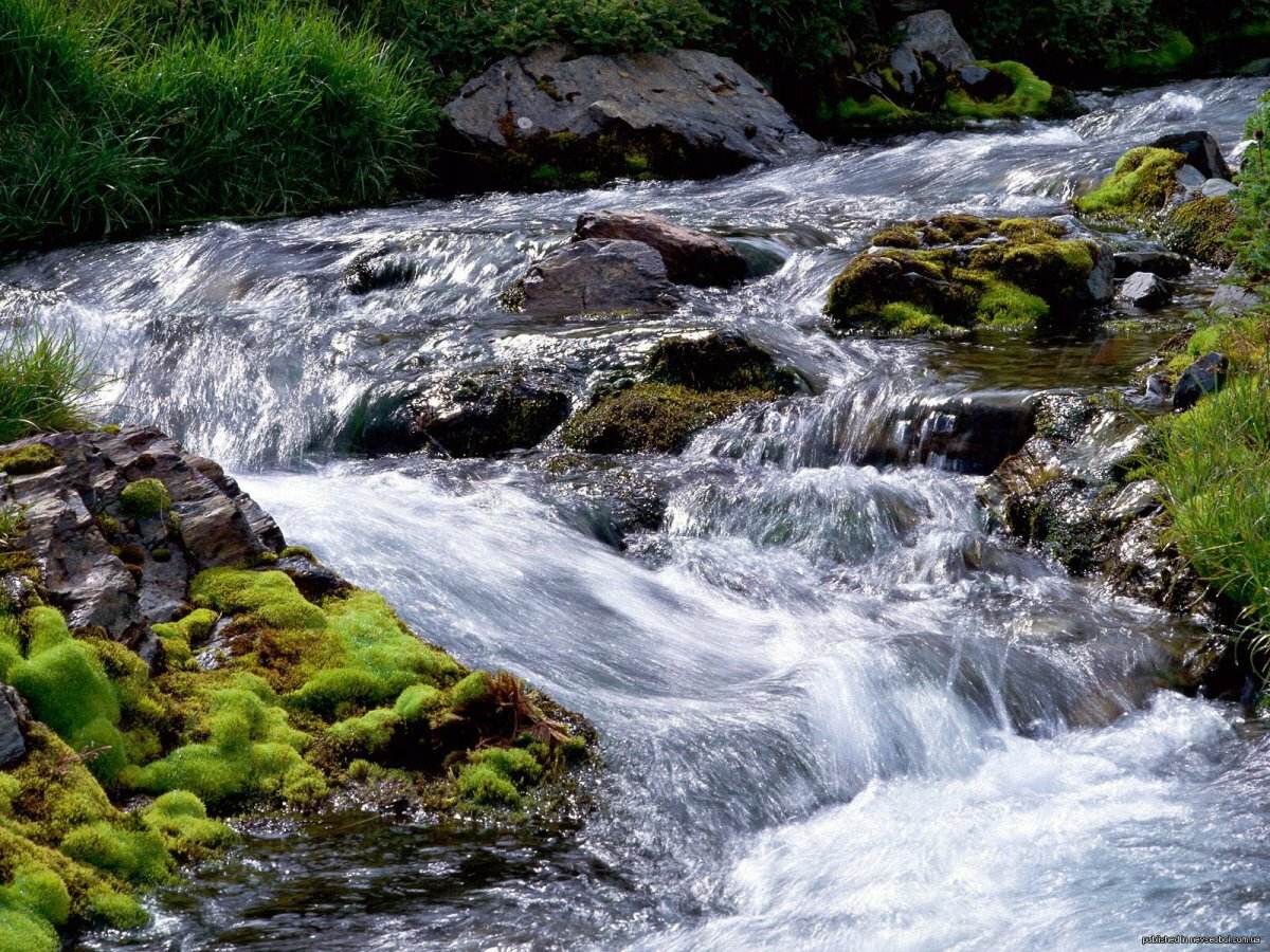 картинки вода ручей фото