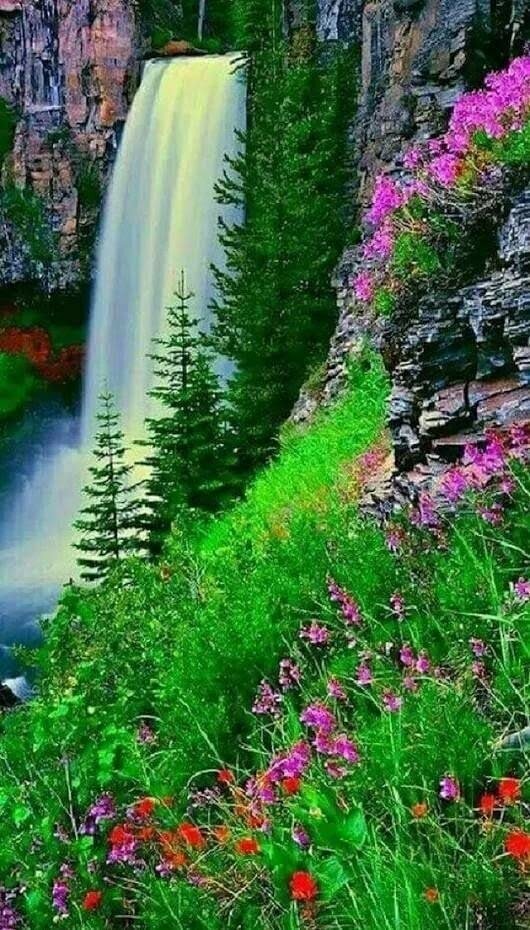 картинки водопад и цветы фото
