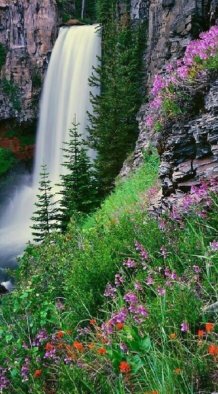 картинки водопад и цветы фото
