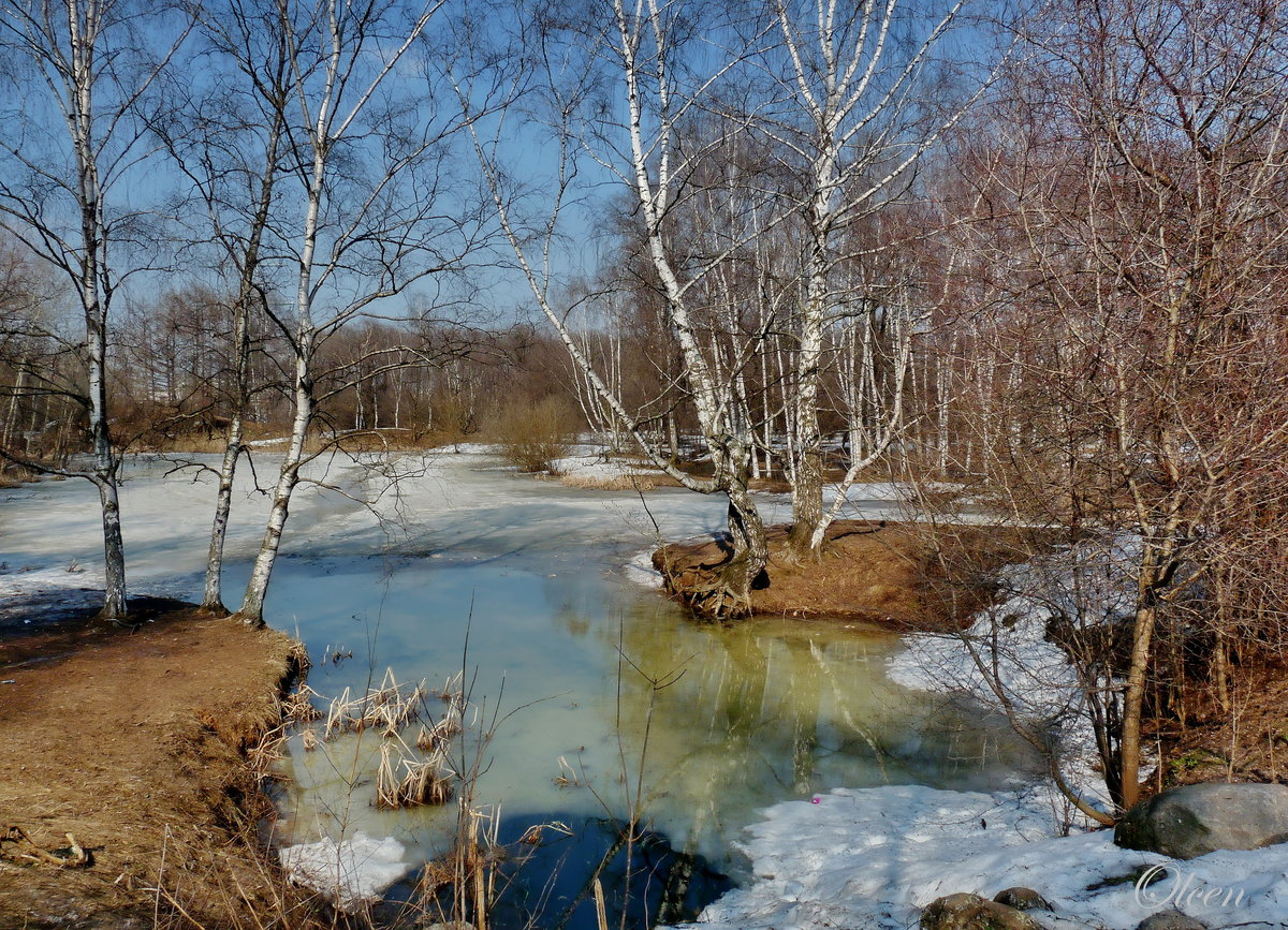 картинки времена года весна фото