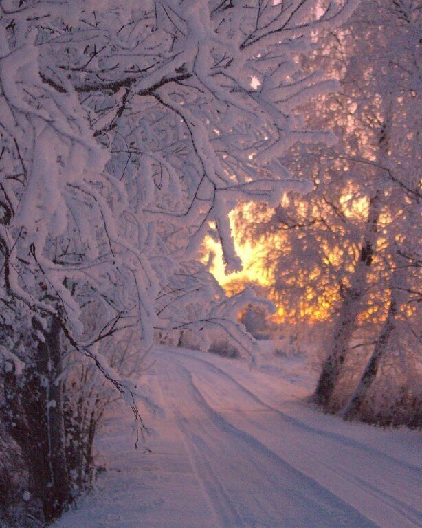 картинки зима декабрь фото