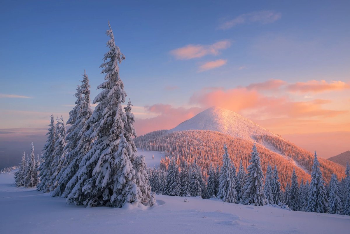 картинки зима лес горы фото