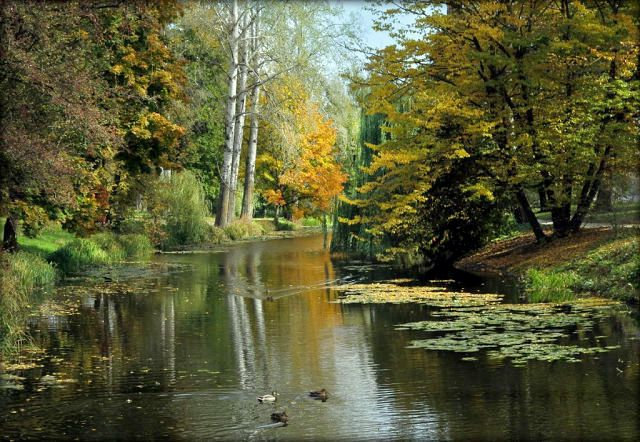картинки золотая осень в парках питера фото