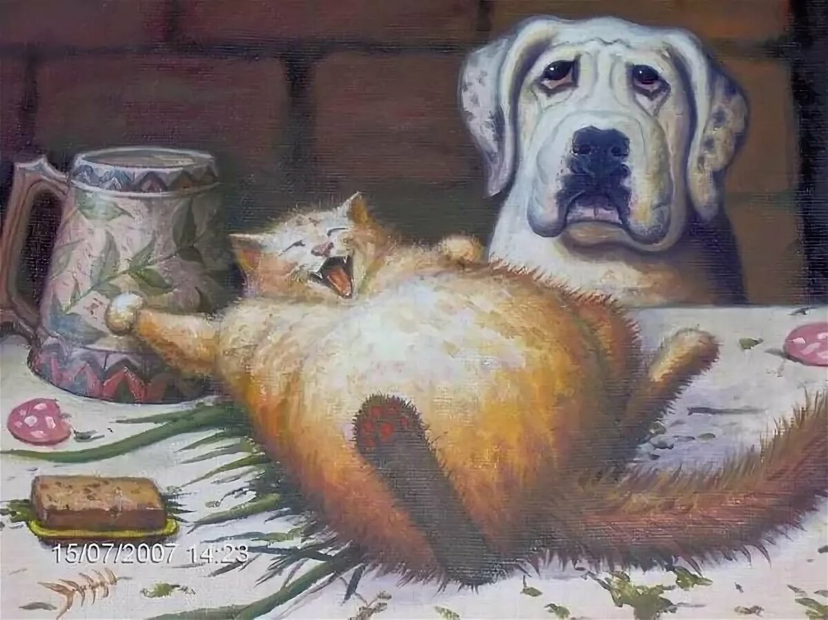 каширин картины коты фото