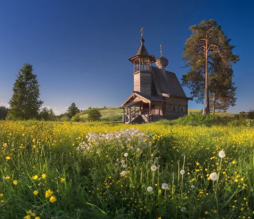 Кенозерский национальный парк фото