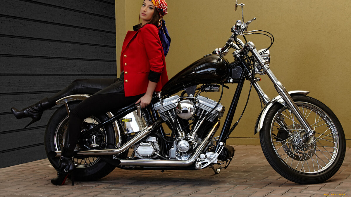 харлей дэвидсон fxst softail 1988 фото