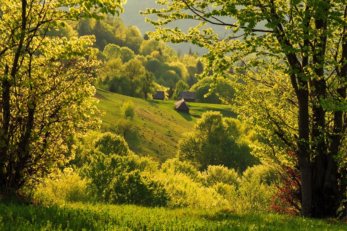 хутор пейзажи фото летом фото