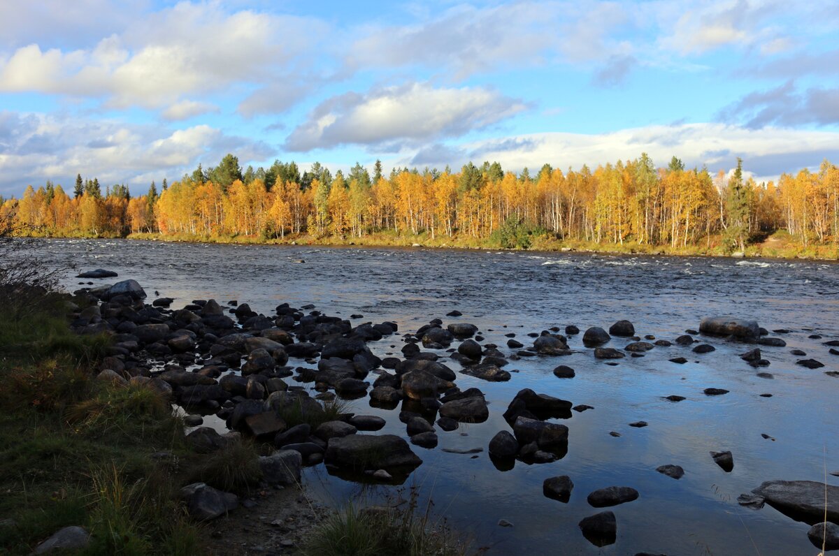 кольский полуостров, река пиренга. фото