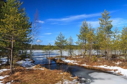 коми республика весенний пейзаж фото