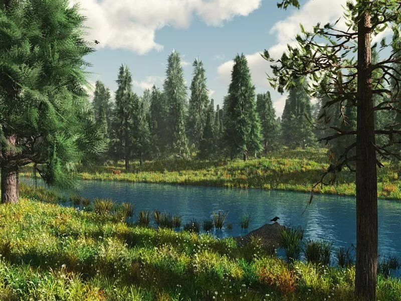 красивое лесное озеро фото