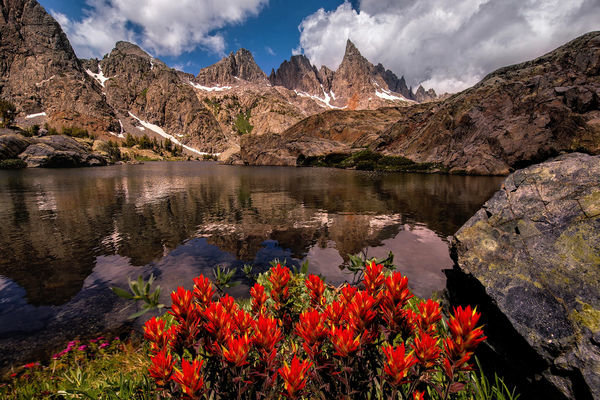 красивые фото горы цветы озеро фото