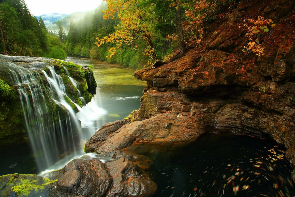 красивые места лес водопад фото