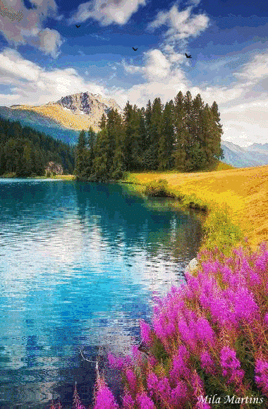 красивые пейзажи фото